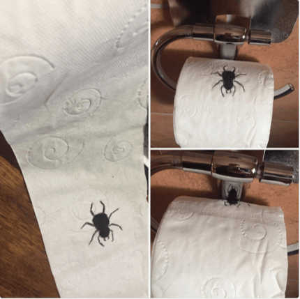 Toilet paper with a spider drawn on it